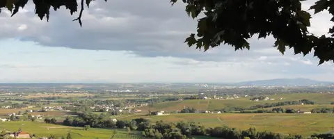 Aire de camping car Domaine Baron de l'Ecluse