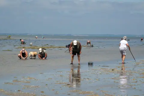 Les Tamaris