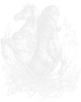 Grunt Galatík