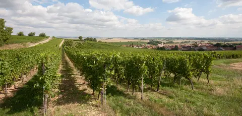 Domaine Maurice Heckmann