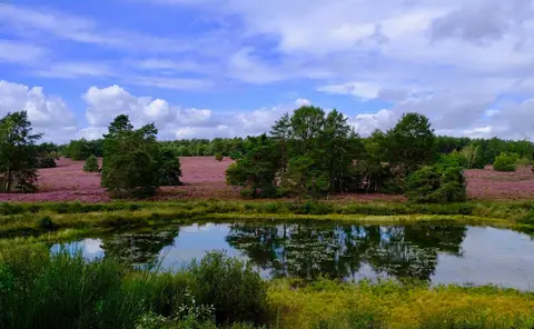 Camping Holsteenbron
