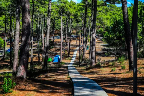Le Porge - Camping municipal de la Grigne