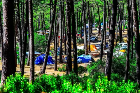 Le Porge - Camping municipal de la Grigne