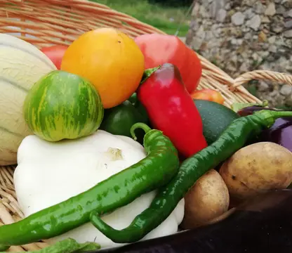 Ferme Coumet-Aire naturelle