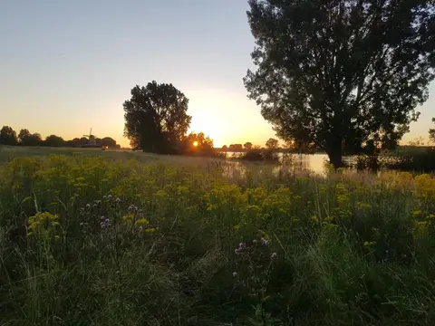 Maaspark recreatie