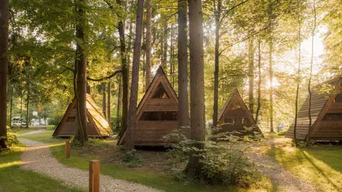 Forest Camping Mozirje