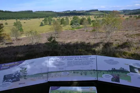 Les Sapins de Corrèze