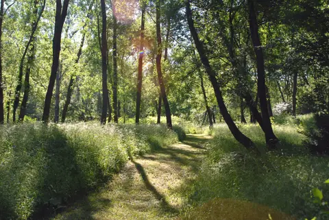 Club Nature et Soleil de Sardan