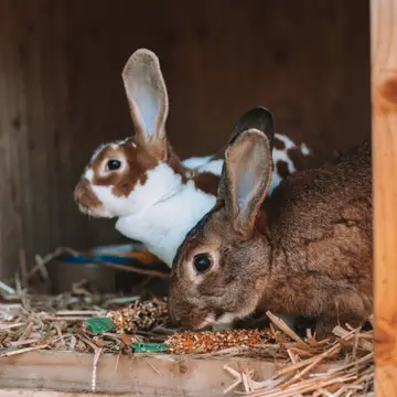 La Ferme des Épis