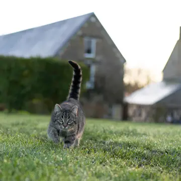 La Ferme des Épis