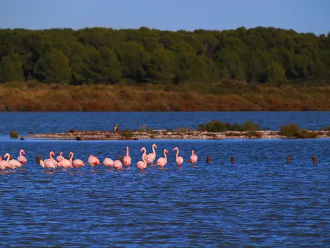 Camping Aigue Marine