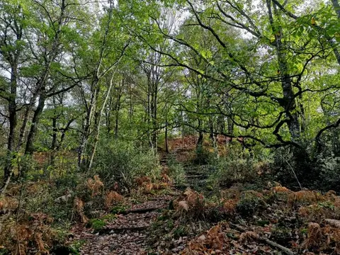 Aire de stationnement du Teilleul