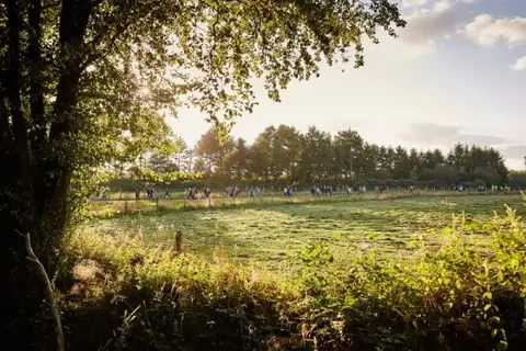 Aire Plan d'eau du Prieuré