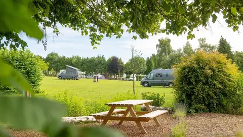 Camping Druivenland