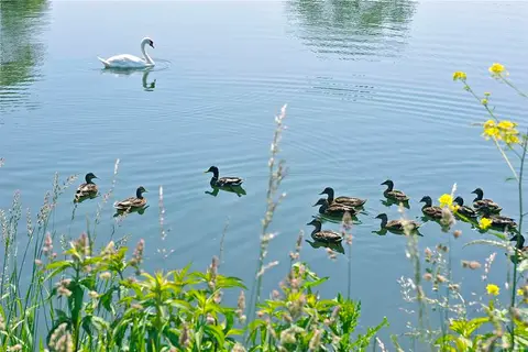 Camping Municipal Beauséjour