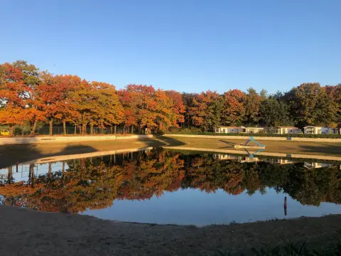 Camping & stoeterij De Laarse Heide