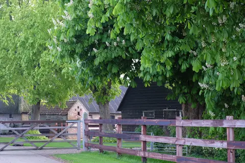 Hof van Autriche