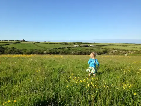 Trewithen Caravan and Camping