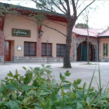 Bolaso