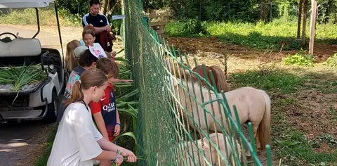 Camping l'Eden