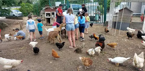 Camping l'Eden
