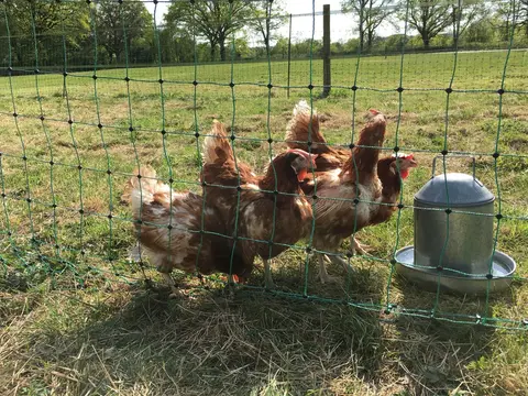 Hazelbank Farm