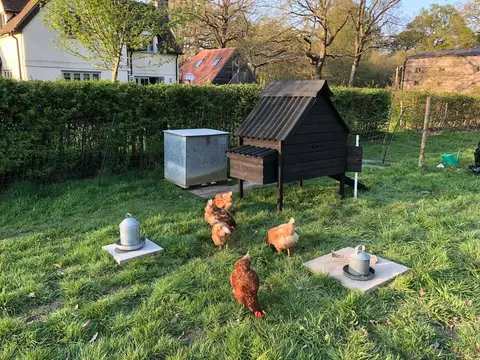 Hazelbank Farm