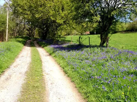 Hazelbank Farm