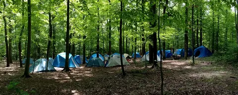 Earleywood Campsite and County Centre