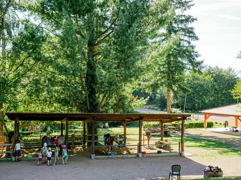 Les Écureuils