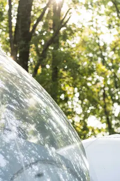 Somn'en Bulle