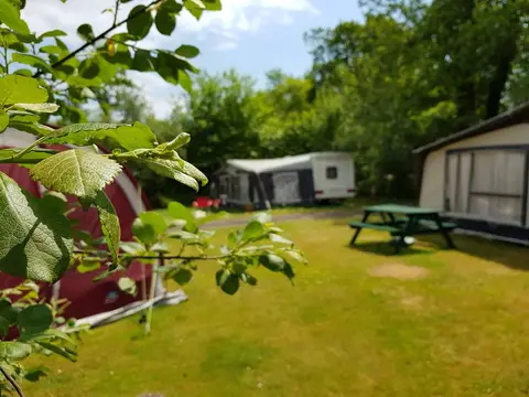Senlac Wood Caravan & Camping