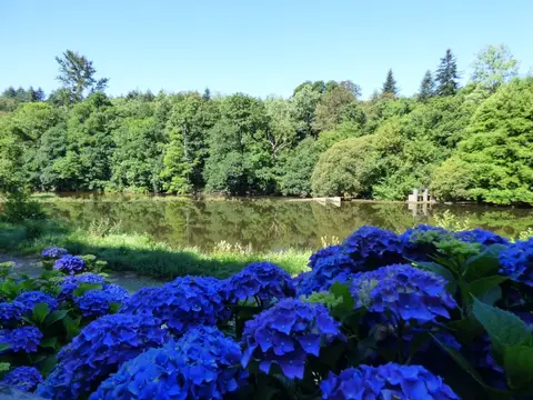 Camping du Moulin Vert