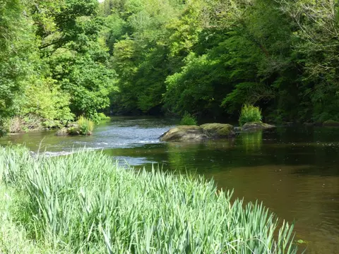Camping du Moulin Vert