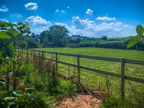 Orchard View