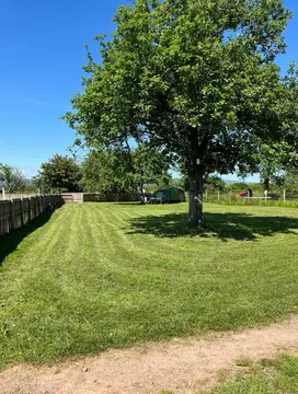 Orchard View