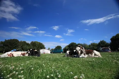 Ferme de Croas Men