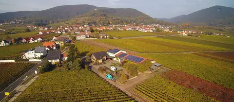 Stellplatz Weingut Eberle
