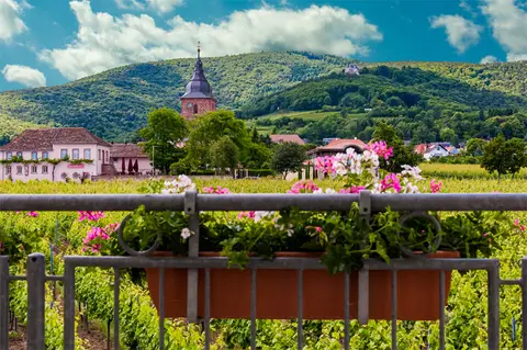 Stellplatz Weingut Eberle