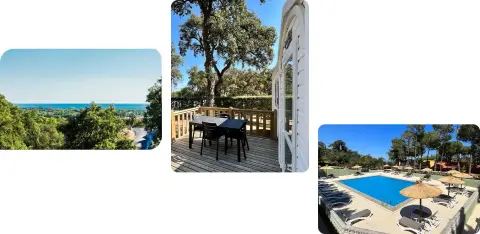 Domaine Des Mimosas