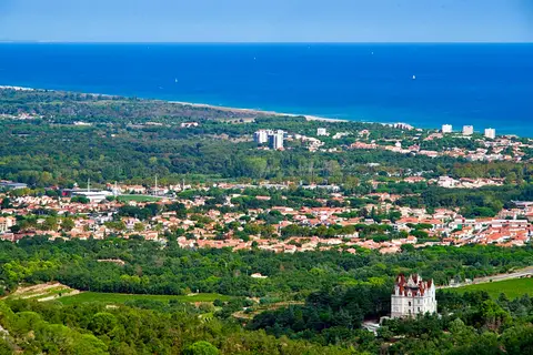 Domaine Des Mimosas
