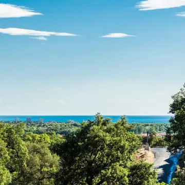 Domaine Des Mimosas
