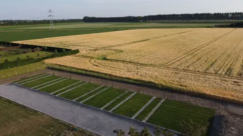 Bij de Bieleput