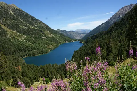 Càmping Nou Camping