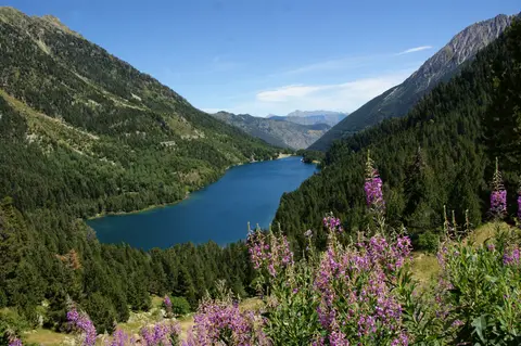 Aigüestortes Càmping Resort