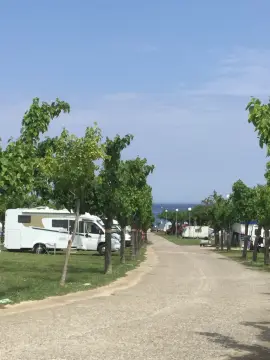Càmping Port de la Vall