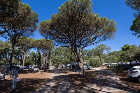 Camping de la plage