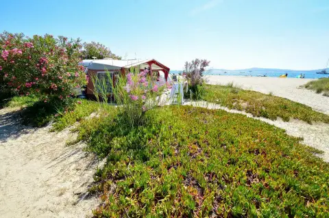 Camping de la plage
