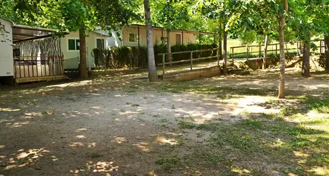 Càmping L'Alguer