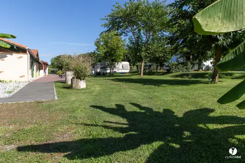 Camping Le Vieux Platane